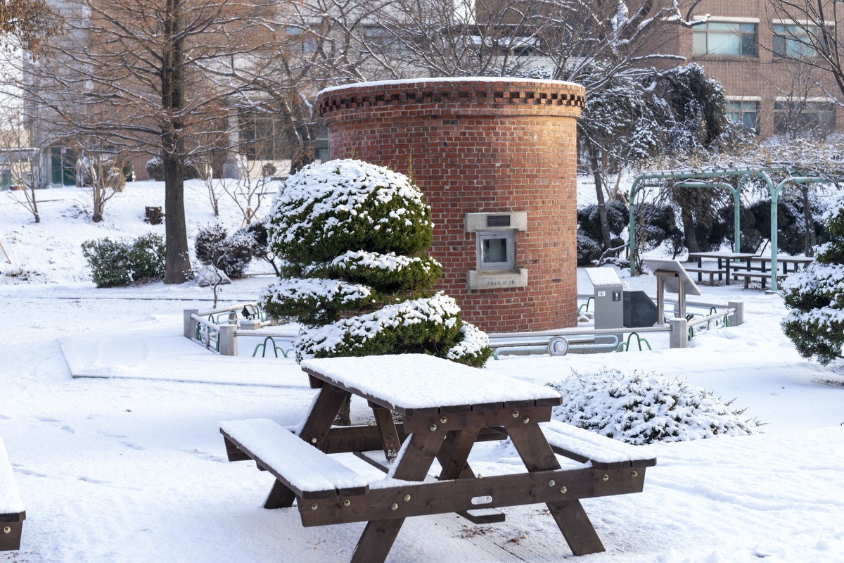 새하얗게 물들인 인하공전 Photo_19.jpg