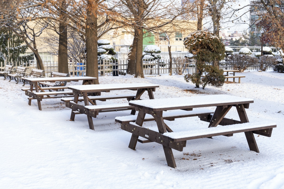 새하얗게 물들인 인하공전 Photo_20.jpg