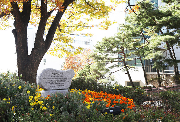학교설립기념식수1